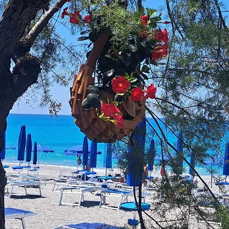 Affittacamere I Delfini Scalea