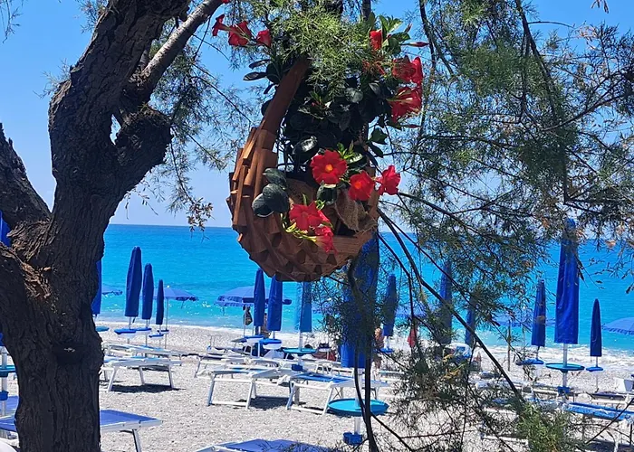 Guest house I Delfini Scalea